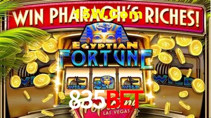 Recursos de Bônus 835Bet